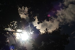sun through clouds