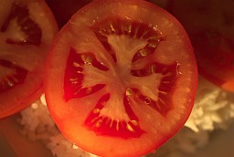 Tomato slice