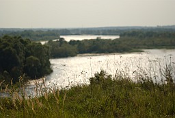 Pripyat river